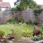 Dscf1458