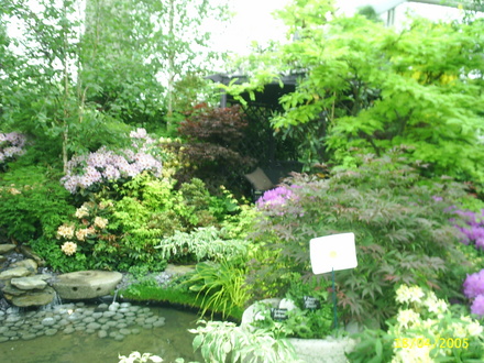A garden flower photo