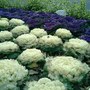 Picture_011