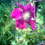 Image_00656