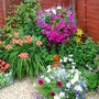 Planting_upwards_2006