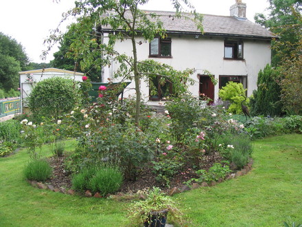 Early summer 2006