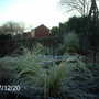 Newones_007