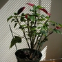 P3180061