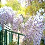 Image_00086