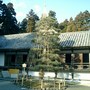 Picture_048