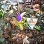 image_00427.jpg