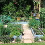 Garden_may07_005