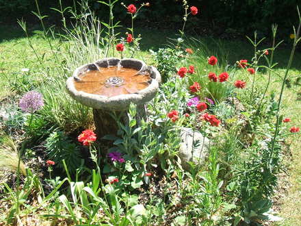 How to cover up a tree stump!!