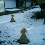 Picture_050