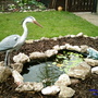 Picture_093