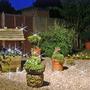 Night Time in Our Garden