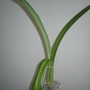 P8120017