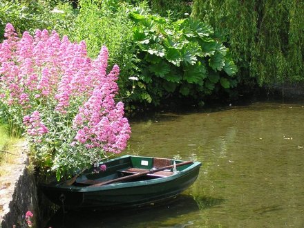boat_centranthus.jpg