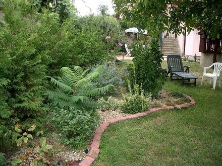 Summer 2007 back garden