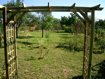 Summer 2007 back garden
