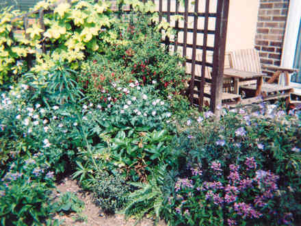 Mixed border