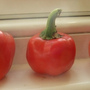 pepper
