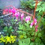 Image_00575