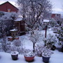 2nd_feb_garden_in_snow_00000
