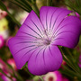 Dscn7385