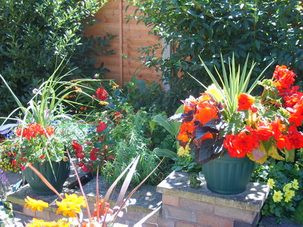 A bit of colour!
