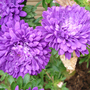Dsc00001