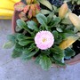 Pict0054