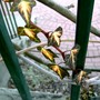 Pict0057