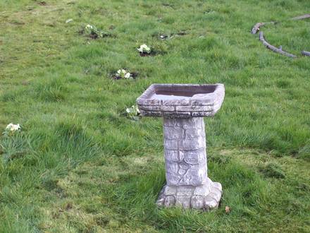 Bird Bath......