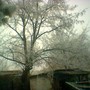 Copy_of_image_002741