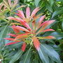 Captured_2007-5-14_00013