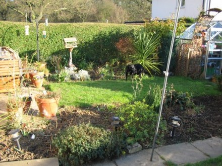 Spring Sunshine