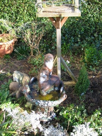 Bird Bath
