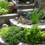 Captured_2007-5-18_00006
