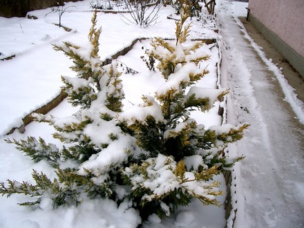 Jan 2008