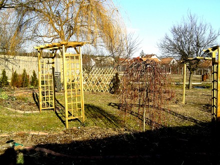 15 Feb 2008 back garden