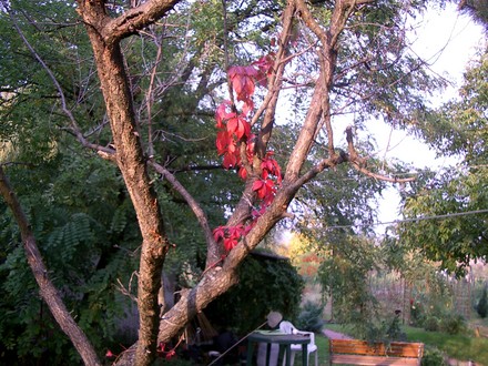 Autumn 2007