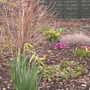 spring flowers