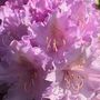 Img_8044_std