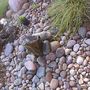 Water feature ~ Seaside pepples 