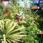 Garden_o7_004