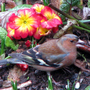 3feb08_079
