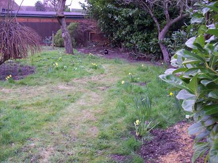 WildGarden....
