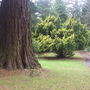 Arboretum2