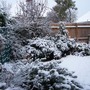 Winter garden