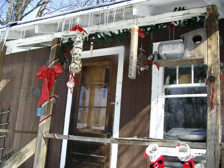 Decorated the feeders close to the house for Christmas, but haven't undecorated yet!