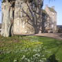 Kelliewithsnowdrops_aconites