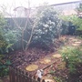 My Garden