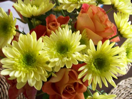 Yellow/Peach Mix....
